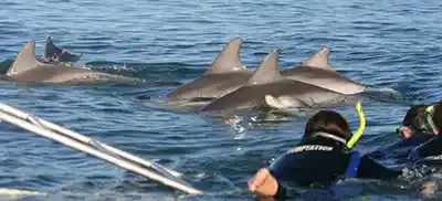 Scalo di crociera a Savona